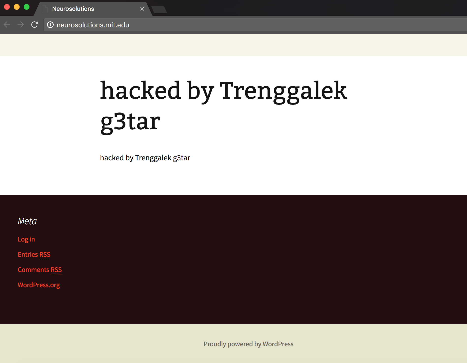 Screenshot of neurosolutions.mit.edu hacked by Trenggalek g3tar