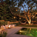 Your Ultimate Guide to Outdoor Lighting