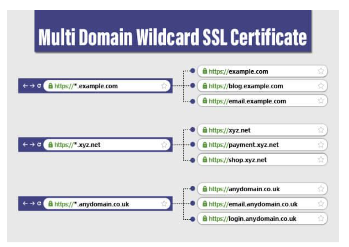 Multi domain. Wildcard-сертификат. SSL Wildcard. SSL Wildcard как выглядит. Wildcard перевод.