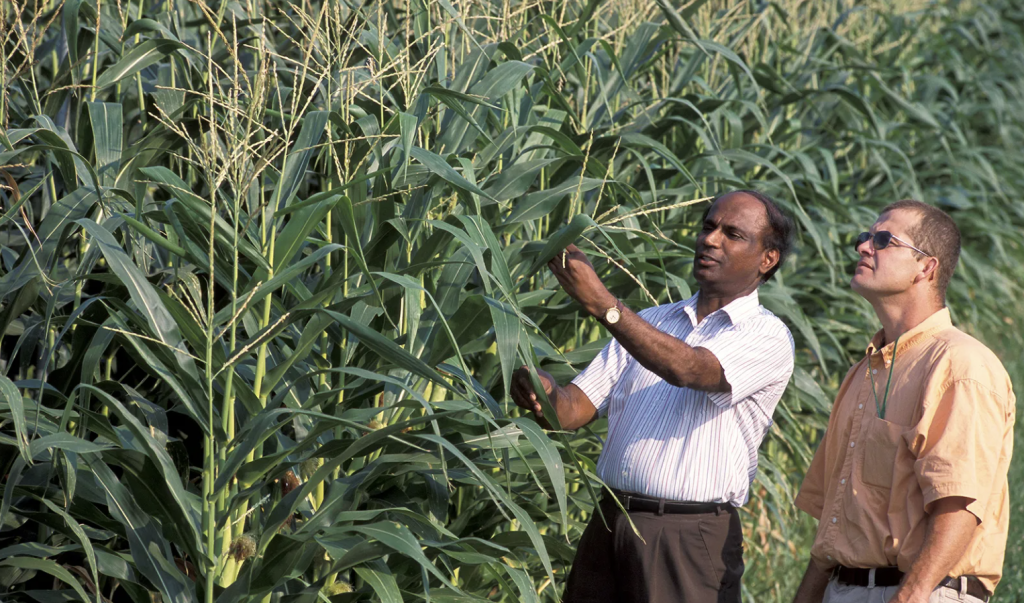 What are the Main Branches of Agriculture?