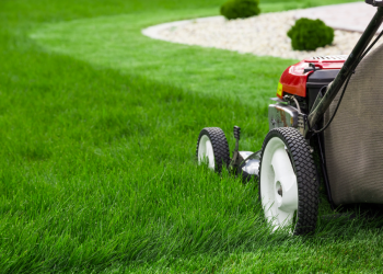 5 Major Tech Advancements in the History of Lawn Mowers