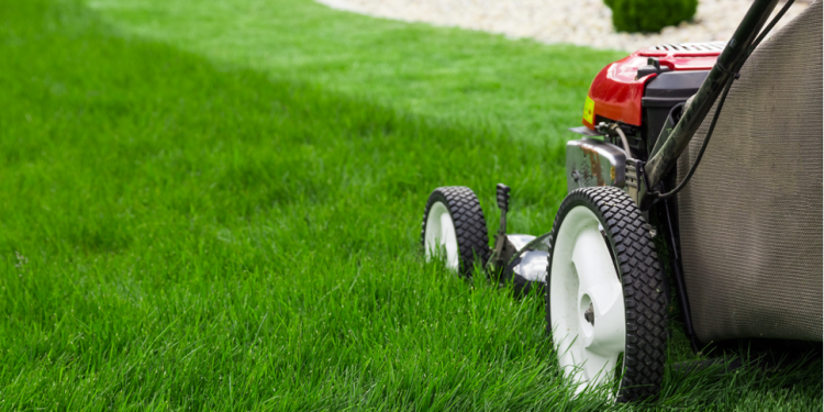 5 Major Tech Advancements in the History of Lawn Mowers