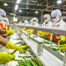 Food Processing Exploring Methods, and Benefits