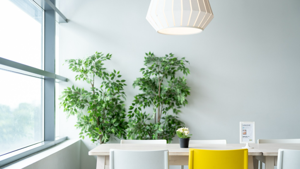 How to Use Indoor Plants for Your Living Room Makeover in Singapore