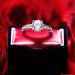 Discover the World of Custom Engagement Rings, Wealth Planning, and Beautiful Red Rose Petals