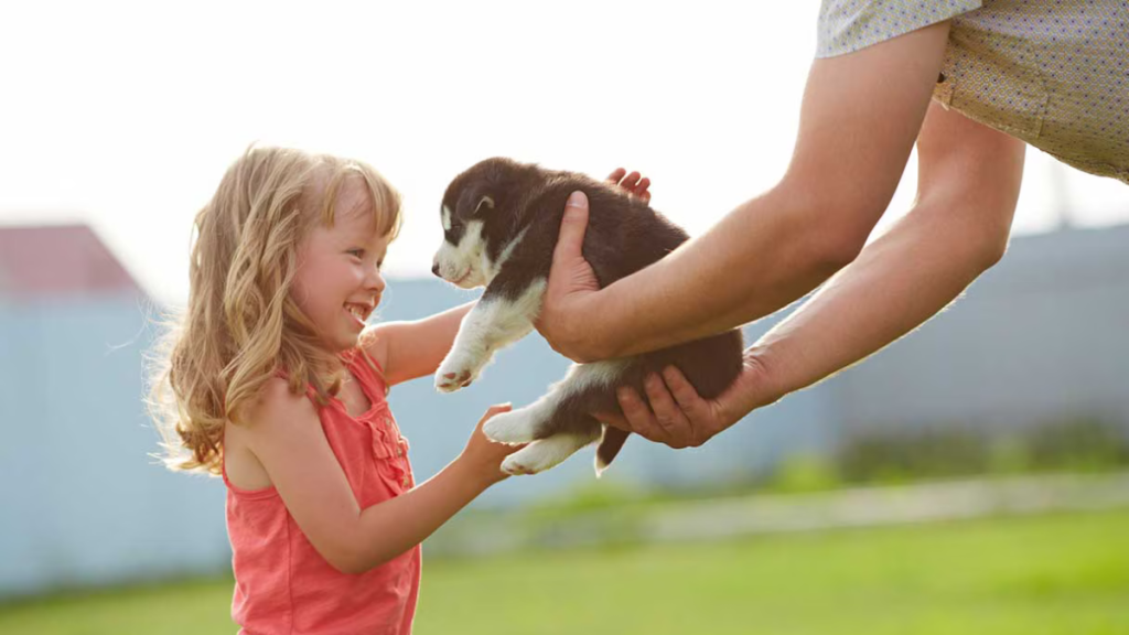 5 Tips for Working Alongside Your Furry Pal