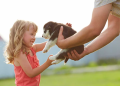 5 Tips for Working Alongside Your Furry Pal