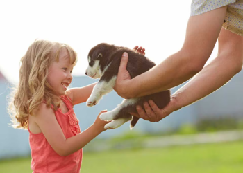 5 Tips for Working Alongside Your Furry Pal
