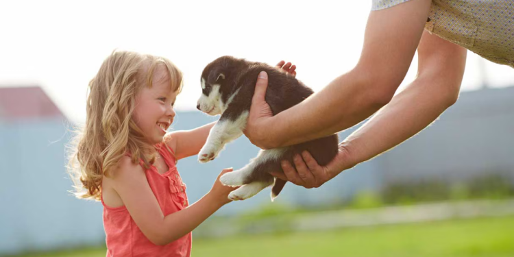 5 Tips for Working Alongside Your Furry Pal