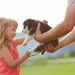 5 Tips for Working Alongside Your Furry Pal