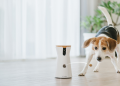 5 Advantages of Using Smart Cameras in Modern Pet Care