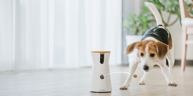 5 Advantages of Using Smart Cameras in Modern Pet Care