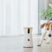 5 Advantages of Using Smart Cameras in Modern Pet Care
