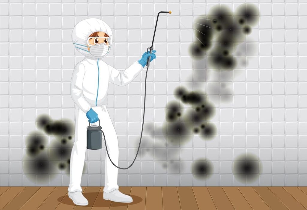 Image 1 of Mold Remediation Costs in Florida: The 2026 Guide for Homeowners