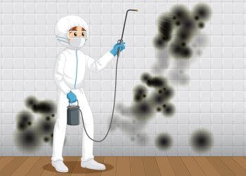 Image 1 of Mold Remediation Costs in Florida: The 2026 Guide for Homeowners