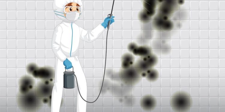 Image 1 of Mold Remediation Costs in Florida: The 2026 Guide for Homeowners