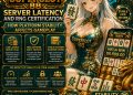 Image 1 of Server Latency and RNG Certification: How Platform Stability Affects Gameplay