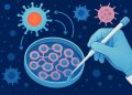 Visual representation of immune signaling pathways influencing innovative cell therapy research